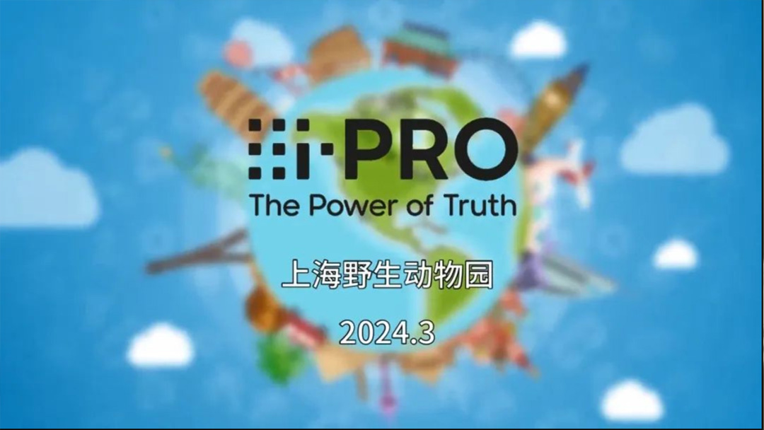 爱普罗女神节活动